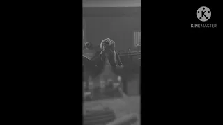 قصيدة يمه منصور الدخيل 