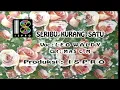 Download Lagu Leo Waldy - Seribu Kurang Satu (HD Quality)