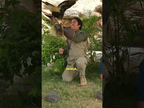 I've Never Seen A Bird Do This Before