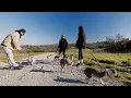 Scott Disick with Kendall and Kylie Jenner walking dogs