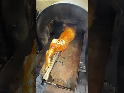 Video Thumbnail: Prase za kojim je poludjela cijela dijaspora!