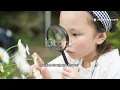 Flower Structures and Functions Insect Pollinated Flowers Unlocking the Secrets of Flowers Science