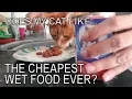 Lagu Alvi cat : getting served the cheapest wet food possible