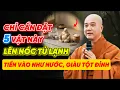 Lagu THẦY PHÁP HÒA CHỈ RÕ: BÍ MẬT NÓC TỦ LẠNH, ĐẶT 5 VẬT NÀY LÀ ĐỔI VẬN NGAY, TIỀN TỶ VỀ TAY, HẾT NGHÈO