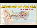 Anatomy of the Ear
