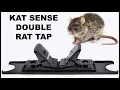 Catching Rats In The Barn With The All New KAT SENSE Double Rat Trap Mousetrap Monday