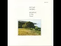 Two Days Old - Michael Hedges