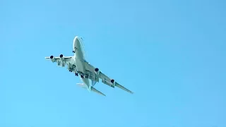 39. Leaving Our Little Rossa