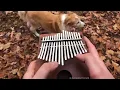 All The Small Things by blink-182 on a Kalimba