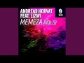 Download Lagu Memeza (Deep Durban Remix)