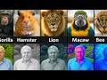 Lagu How Animals Really See the World | Animals Vision Comparison