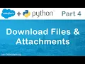 Salesforce API in Python Download Attachments record files attachments