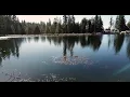 Montecito Sequoia Lodge at Kings Canyon California