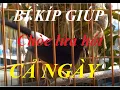 Download Lagu Cách chăm sóc để Chích chòe lửa hót xổng cả ngày