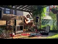 Ryley Walker, June 5, 2021 - Open tuning improv