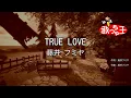 【カラオケ】TRUE LOVE / 藤井フミヤ
