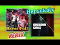 Download Lagu Bayer Full \u0026 Gregoir Cruz - Hej sokoły REMIX 2021