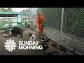 A zoo for rescued animals beneath a Key West jail