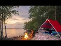 Lagu SOLO CAMPING AND FISHING, LOOKING FOR CLAMP BY THE SEA IN A MANGROVE FOREST 