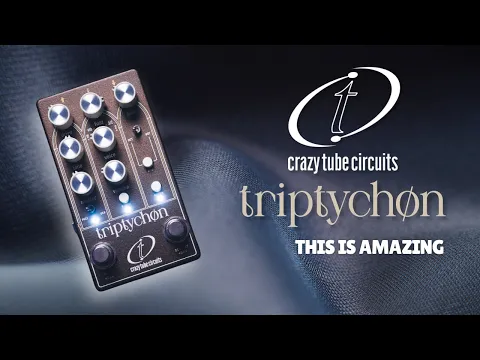 Crazy Tube Circuits Triptychon | Delicious Audio