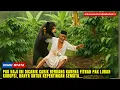 Download Lagu Pak Lurah Difitnah Korupsi !! Dicambuk Warga Karena Ulah Pak Haji, Azab Pedih Pak Haji Menantinya...