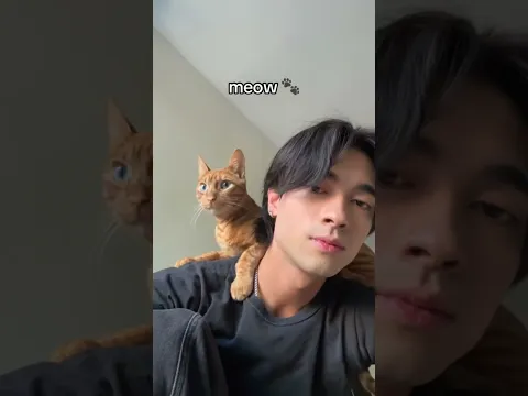 What do I name this cat?