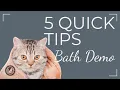 5 Cat Grooming Tips for Easier Cleaner Baths Professional Cat Bathing Techniques