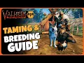 The Complete Taming and Breeding Guide - Valheim 2023