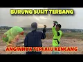 BURUNG SULIT TERBANG AKIBAT ANGIN KENCANG DI ATAS GUNUNG