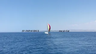 SV Impavidus (Ant & Cid Sailing)