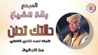 الفنان بقة الشيخ حالتك تحنن تسجيلات الغزال الاسمر ودحسان اكسبلور 