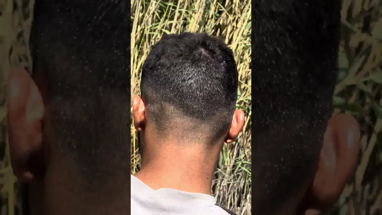 صيد السمك في البزل 🐠
