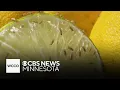 Download Lagu Simple DIY trick to get rid of fruit flies in your house