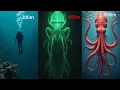 Top 10 largest deepsea squids compared to human size