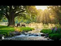 Download Lagu Beautiful Relaxing Music - Stop Overthinking, Stress Relief Music With Calming Birds Singing