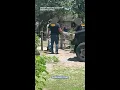 Florida woman arrested after stabbing horse multiple times in front of child sheriff says