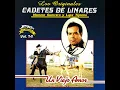 Un Viejo Amor - Los Cadetes De Linares