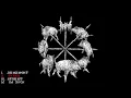 Download Lagu Rană - Armament EP [2021 Blackened Crust]
