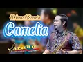 Download Lagu Camelia - H. Ismail Soneta | Live Cover Istara Group