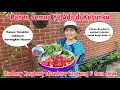 Download Lagu Panen Semua yg ada di Kebun! Blueberry 🫐 Raspberry strawberry 🍓 Kangkung \u0026 daun Jeruk