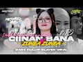 Download Lagu DJ CIINAN BANA X ZUNEA ZUNEA • BASS NULUP BLAYER VIRAL TIKTOK | XMUST REVOLUTION