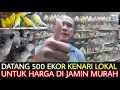 Download Lagu 🟡 BARU DATANG 500 EKOR KENARI LOKAL UNTUK HARGA DI JAMIN MURAH KIOS BAJANG PASAR BURUNG PRAMUKA