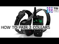 How to pair 2 collars Dog Training Collar with Remote w Range 1600 Ft