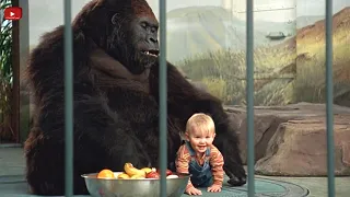 طفل شقي جدا بيدخل قفص الغوريلا عشان تحميه من العصابة اللى عايزه تخطفه ملخص فيلم Baby S Day Out  طفل شقي جدا بيدخل قفص الغوريلا عشان تحميه من العصابة اللى عايزه تخطفه ملخص فيلم Baby S Day Out