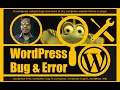 Fix WordPress Website bugs and errors of any WordPress Website Theme or Plugin