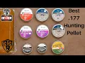 Best 177 Hunting Pellet