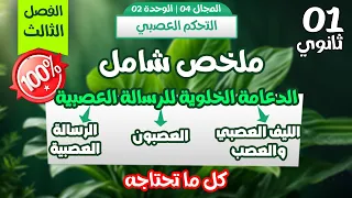 أولى ثانوي اقوى ملخص شامل حول الدعامة الخلوية للرسالة العصبية مراجعة شاملة لاختبار الفصل الثالث 