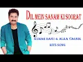 Dil Mein Sanam Ki Soorat | Alka Yagnik & Kumar Sanu | Full Song | Phir Teri Kahani Yaad Aayee 1993