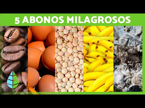 Download MP3 5 Abonos NATURALES para tus PLANTAS 🌱 [ Fertilizantes CASEROS ]