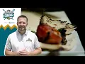 Josh Scobee s Duval Dining Ep 4 Noura s Cafe Jacksonville Jaguars